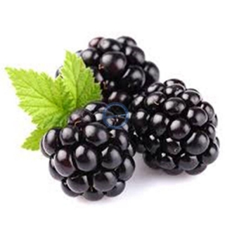 TPA Black Berry e liquid aroma